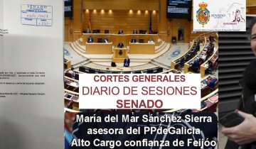 El Senado de España pone el ojo sobre la solicitud de amparo y protección contra los ataques a la Libertad de Expresión de Mar Sánchez Sierra en el Día Internacional de la Corrupción 9 Diciembre