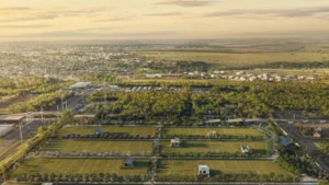 Artesano estreia em Campo Grande com projeto inspirado no Pantanal