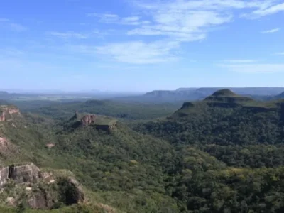 Pantanal lidera queda do desmate: -65%; Cerrado recua 11,5%